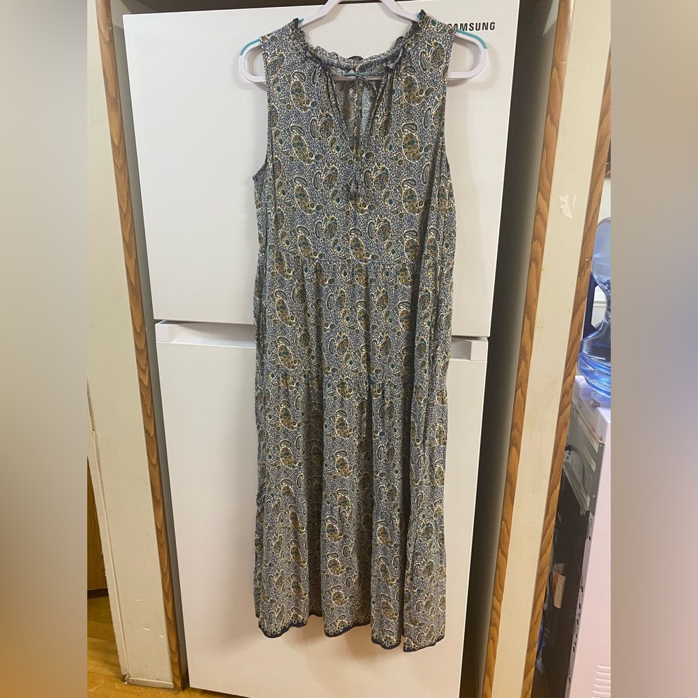 Max Studio Blue and Brown Paisley Maxi Dress